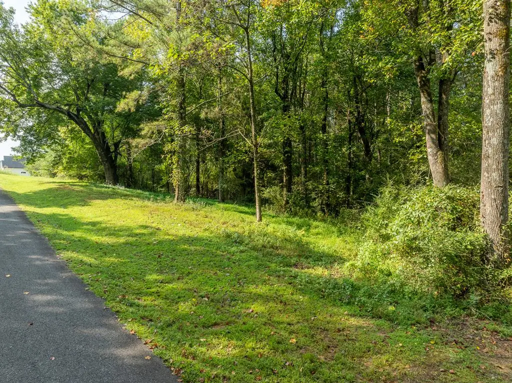 Lot 4 Highpoint Ridge Road, Ellijay, GA 30540 - #1