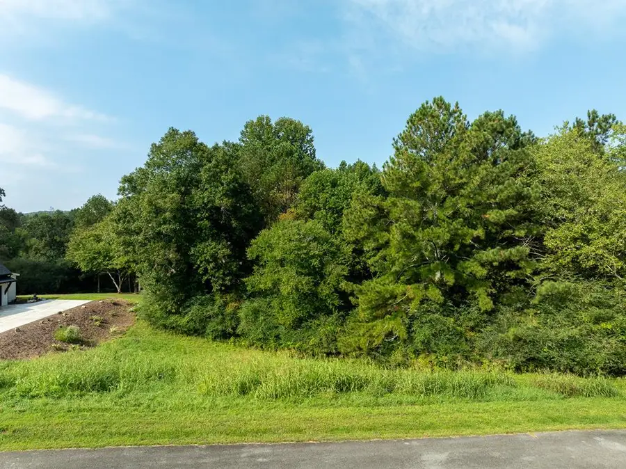 Lot 3 Highpoint Ridge Road, Ellijay, GA 30540 - #2