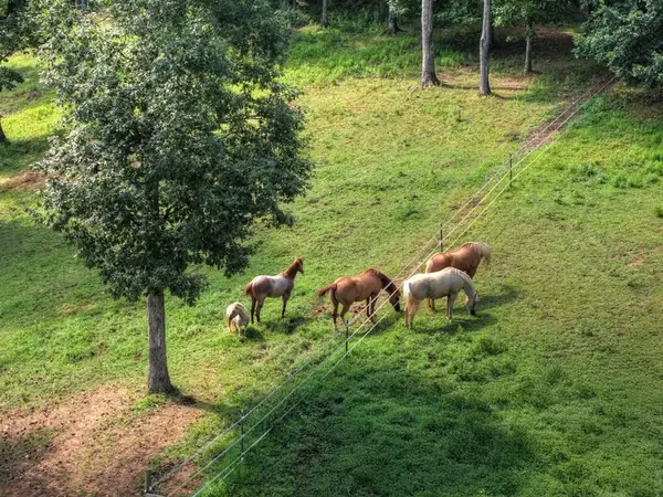 79 Stewart Lane, Morganton, GA 30560