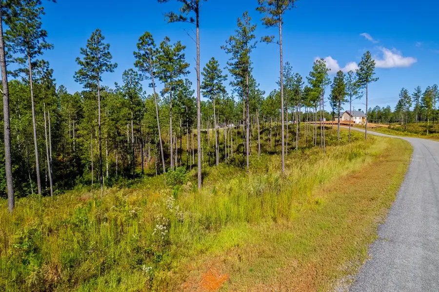 Lot 140 River Reach Lane, Talking Rock, GA 30175 - Image #3