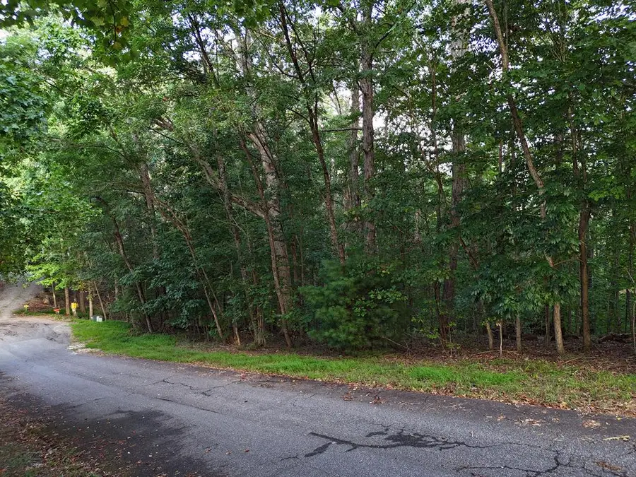 L 48C Byron Street, Blairsville, GA 30512 - Image #3