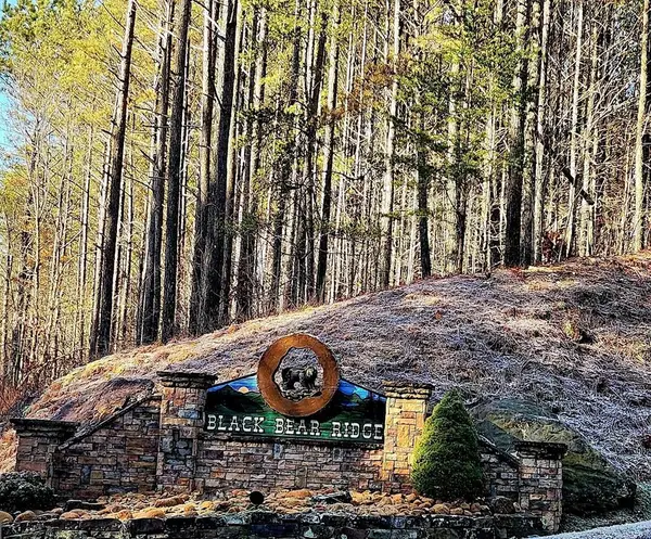 37 Black Bear Ridge Road, Ellijay, GA 30536