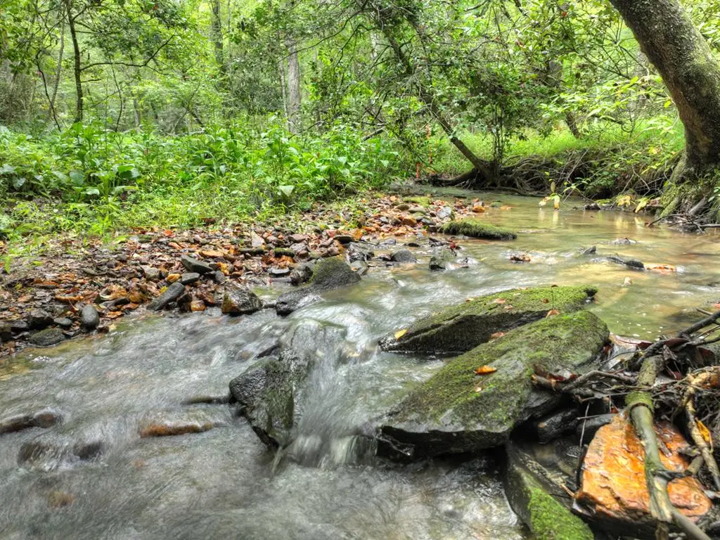 Lot 45 Synacia Drive, Mineral Bluff, GA 30559 - Image #1