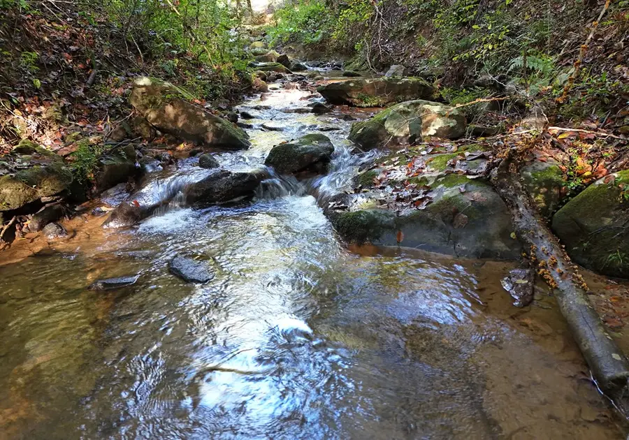 373 Scrougetown Road, Ellijay, GA 30536 - Image #3