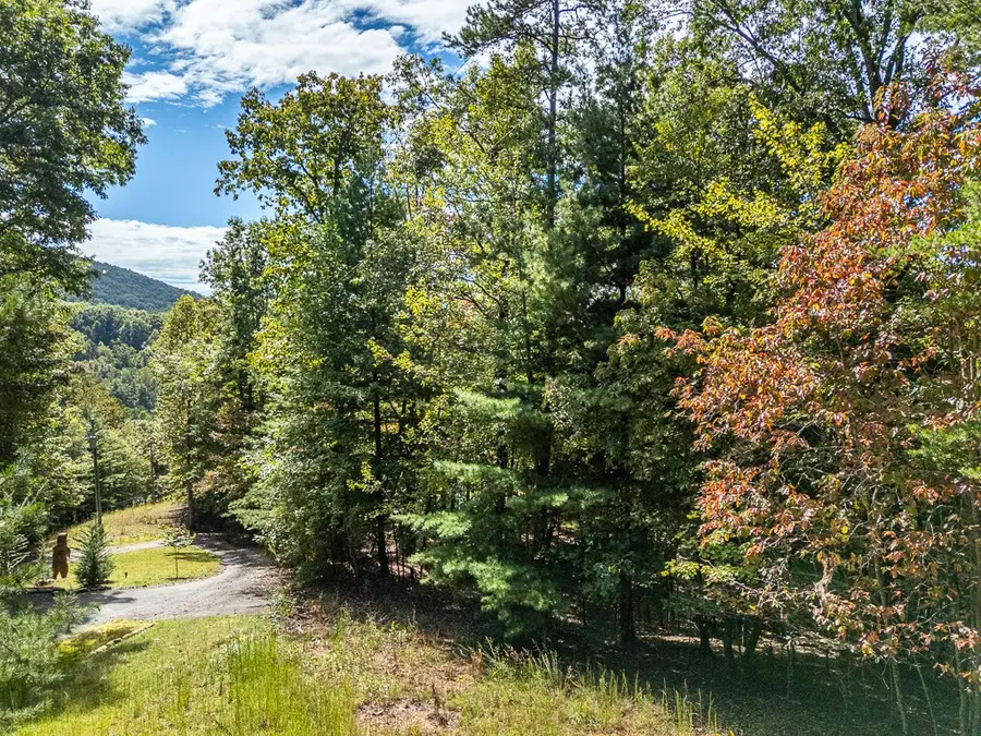 0 Wolf Print Ridge, Murphy, NC 28906 - Image #3