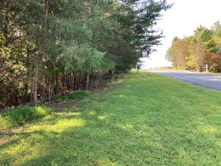 Lot 25 Birchwood Drive, Ellijay, GA 30540
