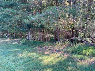 Lot 25 Birchwood Drive, Ellijay, GA 30540 - Image #2