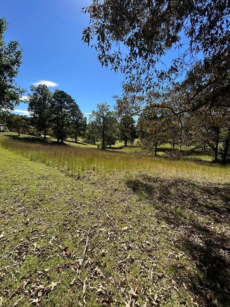 0 Country Lane, Murphy, NC 28906 - Image #2