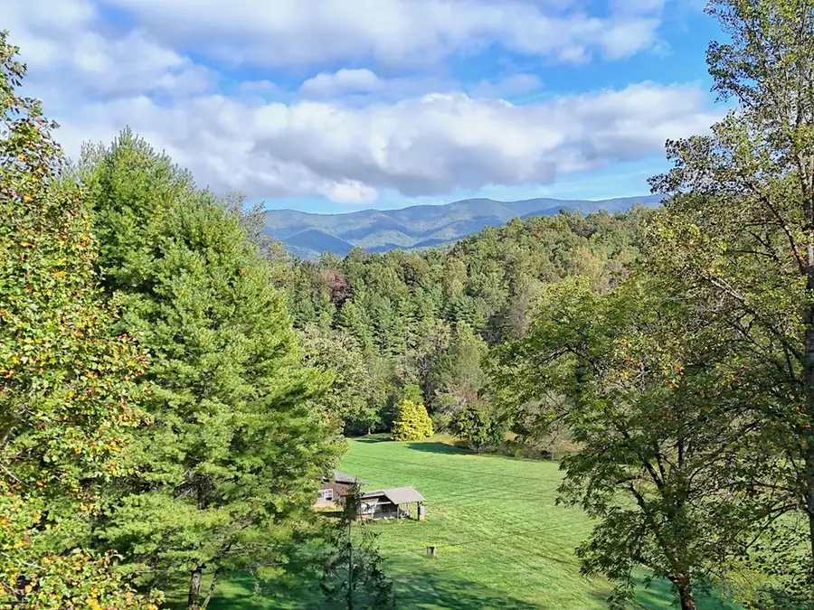 206 Peckerwood Road, Hayesville, NC 28904 - #2