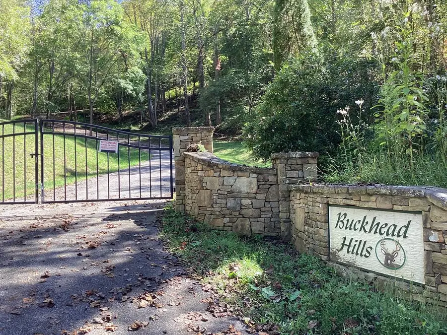 Lot 2 Buckhead Hills, Hiawassee, GA 30546 - Image #2