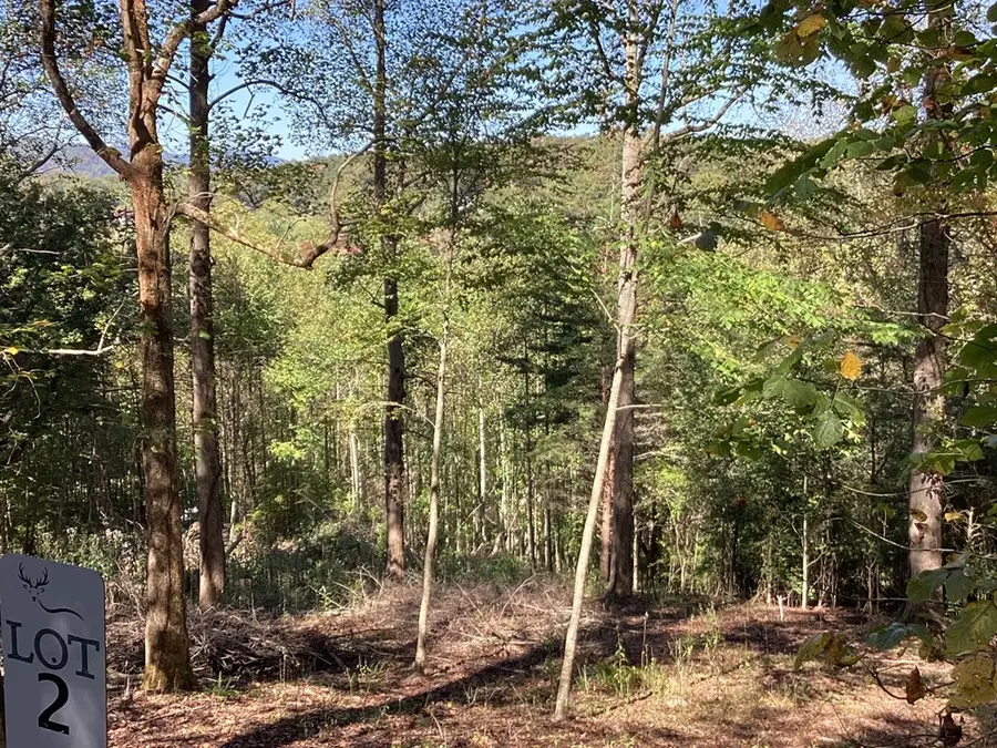 Lot 2 Buckhead Hills, Hiawassee, GA 30546 - Image #3