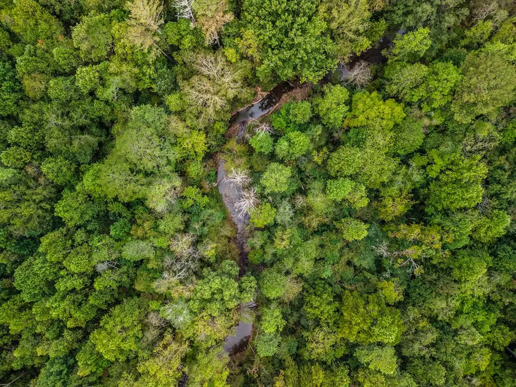 3.11 ac Old Northcutt Road, Ellijay, GA 30540 - #1