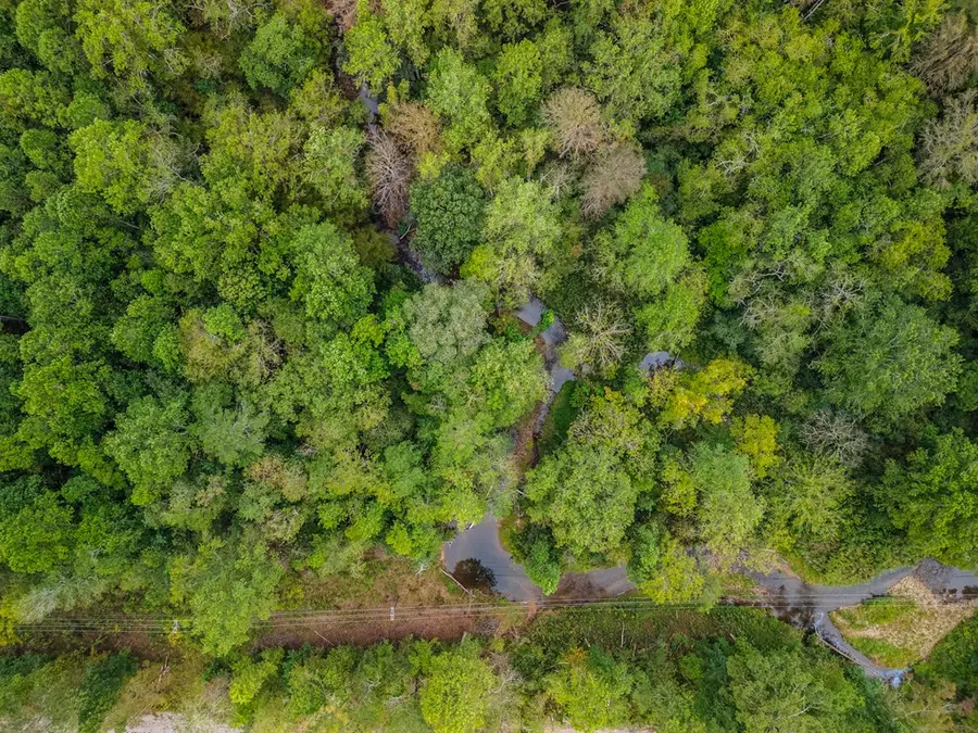 2.35 ac Old Northcutt Road, Ellijay, GA 30540 - Image #3