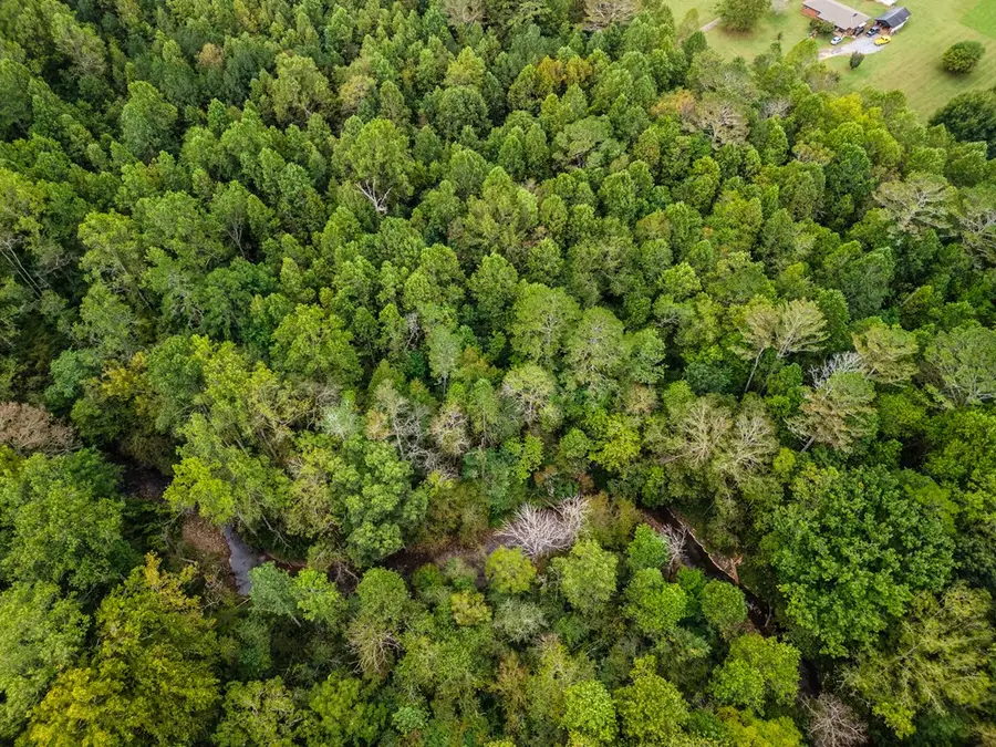 1.9 ac Old Northcutt Road, Ellijay, GA 30540 - #2