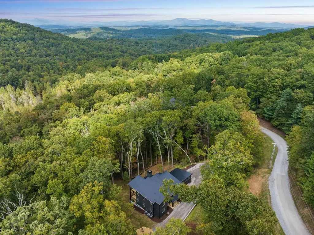 1160 Mangums Trail, Blue Ridge, GA 30513 - #1