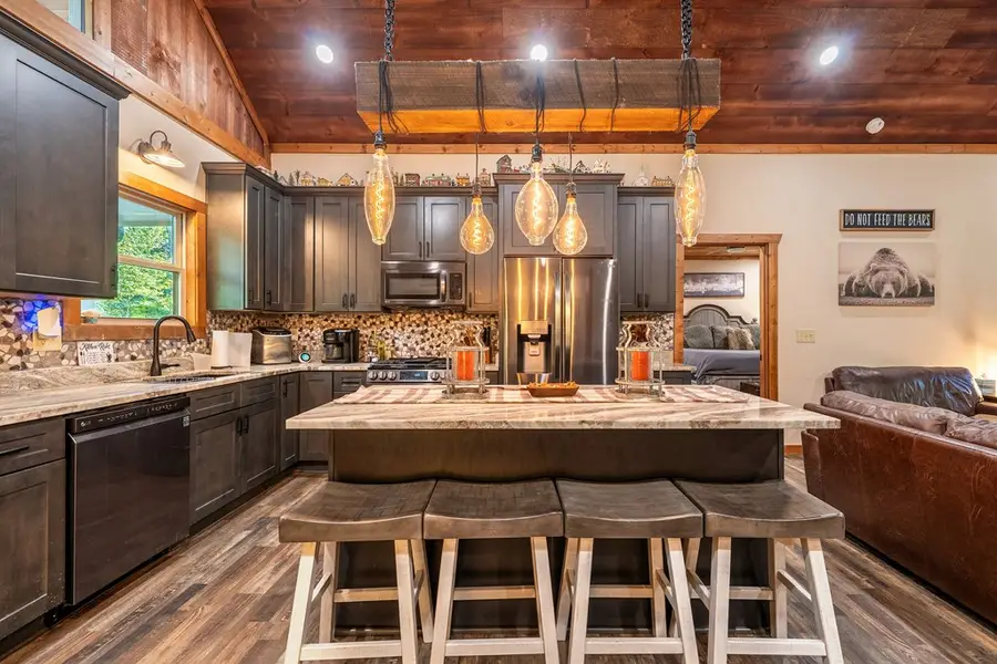 55 Monitor Drive, Ellijay, GA 30540 - Image #3