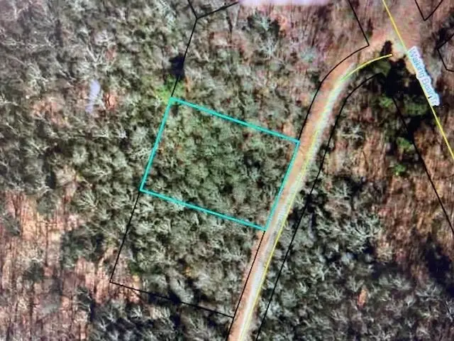 5 Knob Hill, Sky Valley, GA 30537 - Image #3