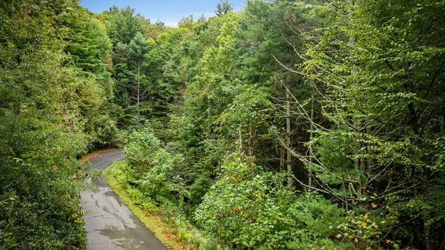 Lot 16 Buckskin Drive, Blue Ridge, GA 30513 - Image #2