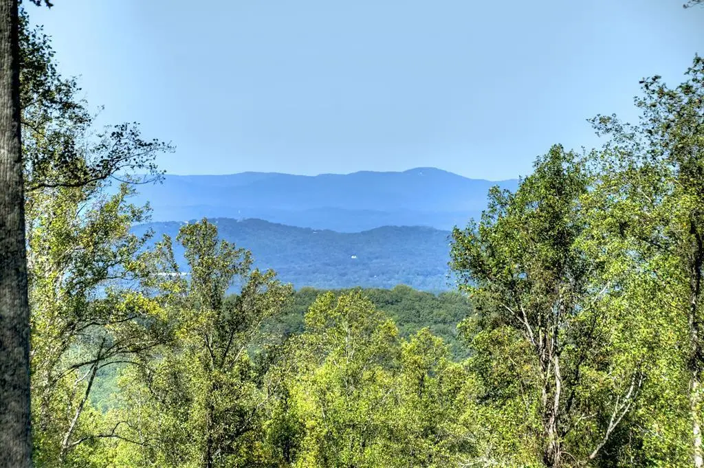 LT 296 Andes Ridge, Ellijay, GA 30536 - Image #1