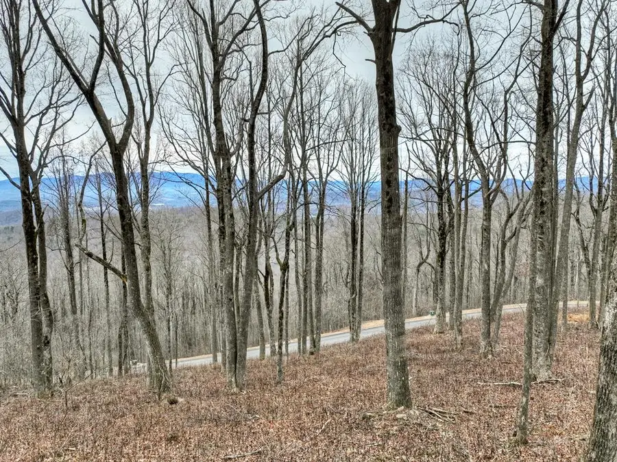 LT 296 Andes Ridge, Ellijay, GA 30536 - Image #3