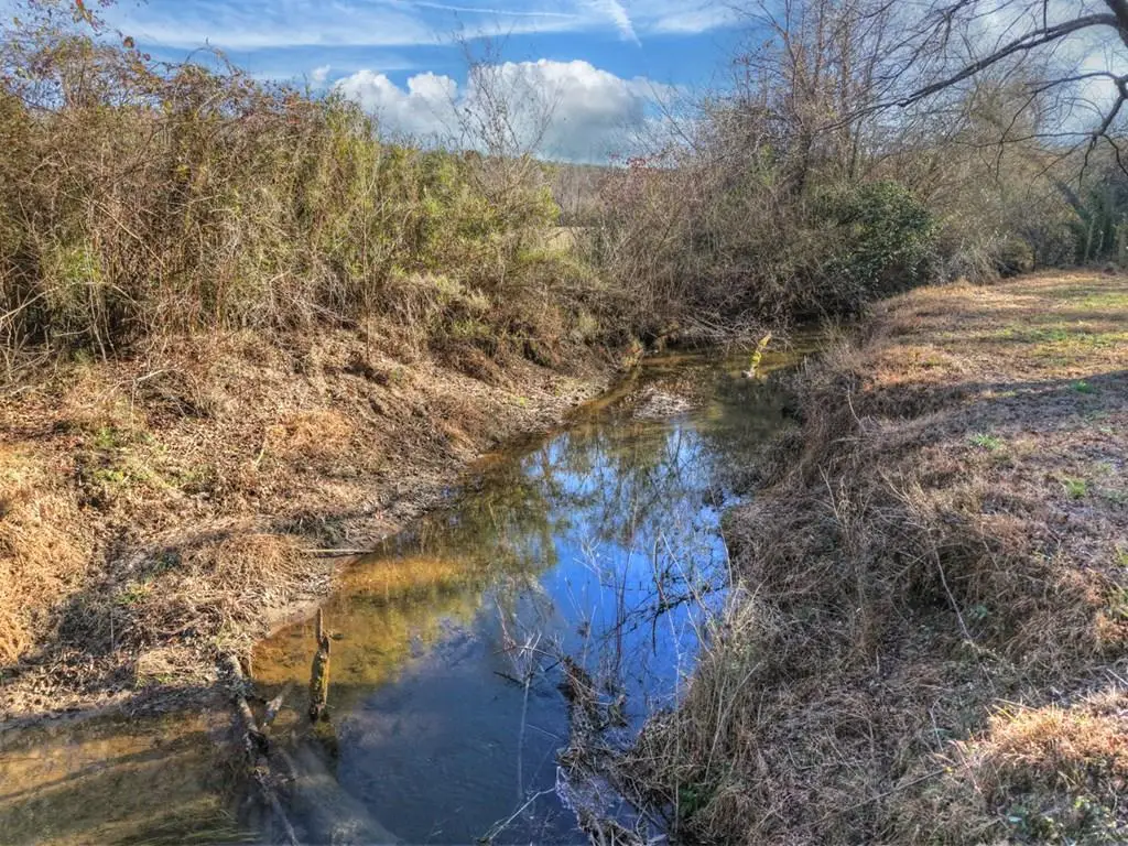 445 Twin Creeks Road, Blue Ridge, GA 30513 - Image #1