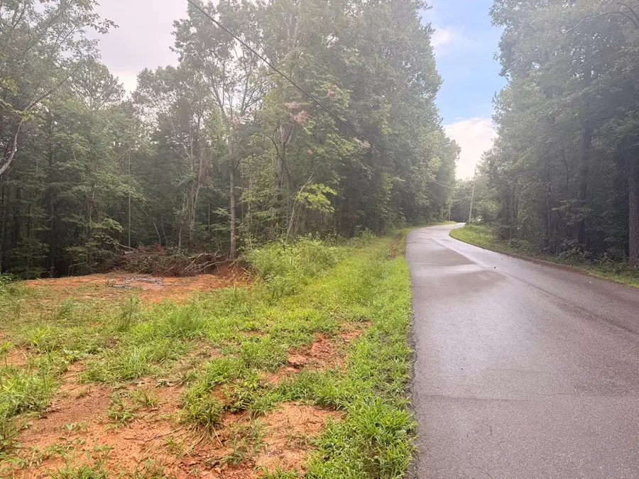 1765 Nugget Lane, Ellijay, GA 30540 - Image #2