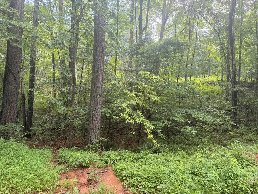 1765 Nugget Lane, Ellijay, GA 30540 - Image #3