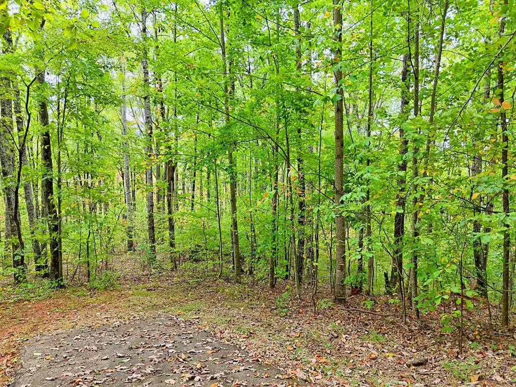 Lot 1 Skyview Drive, Hayesville, NC 28904 - #1