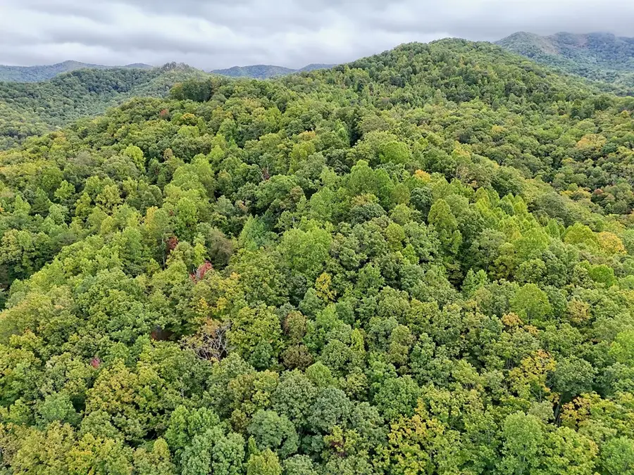 Lot 1 Skyview Drive, Hayesville, NC 28904 - #3