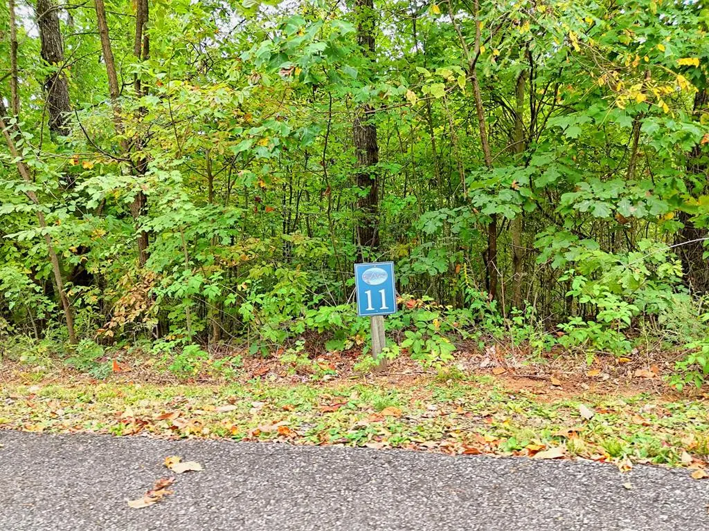 Lot 11 Skyview Drive, Hayesville, NC 28904 - #1