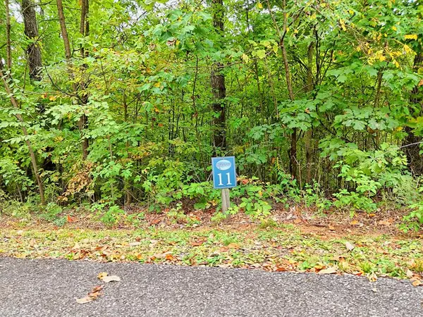 Lot 11 Skyview Drive, Hayesville, NC 28904