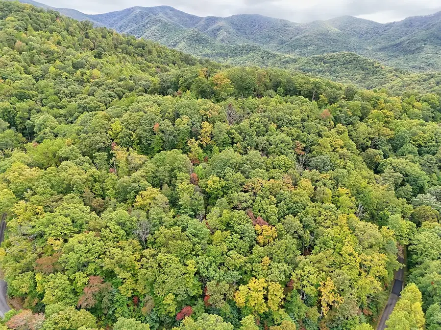 Lot 27 Skyview Drive, Hayesville, NC 28904 - #3