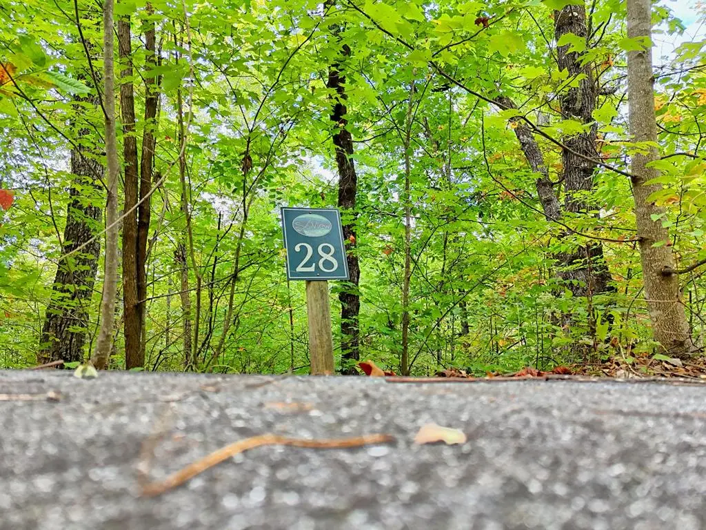 Lot 28 Skyview Drive, Hayesville, NC 28904 - #1