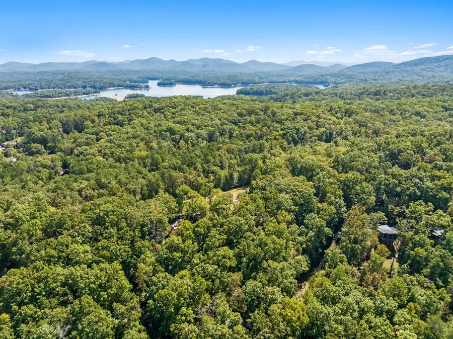 LOT 15 Tanglewood Cove Lane, Blue Ridge, GA 30513 - Image #2