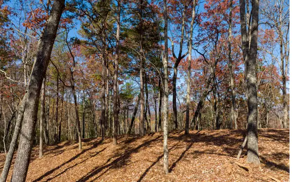 LOT 39 Preserve Trail, Ellijay, GA 30536