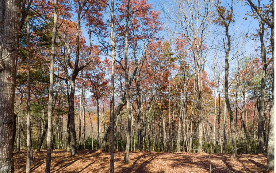 LOT 39 Preserve Trail, Ellijay, GA 30536 - Image #3