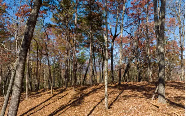 Lot 41 Preserve Trail, Ellijay, GA 30536