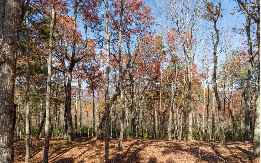 Lot 41 Preserve Trail, Ellijay, GA 30536 - Image #3