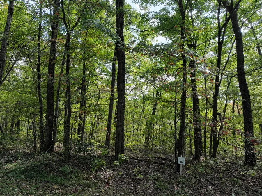 30 Andes Ridge, Jasper, GA 30143 - Image #2