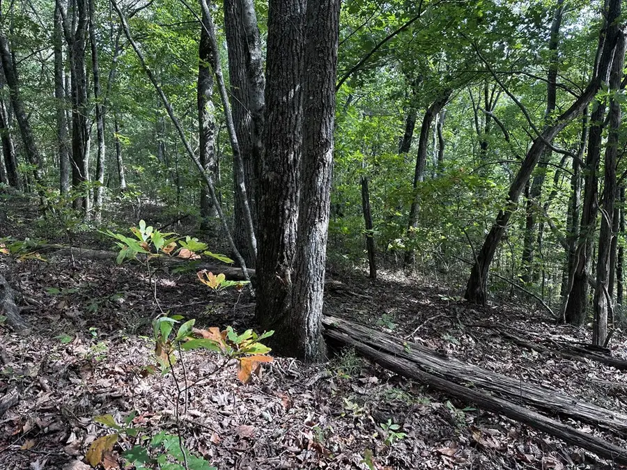 30 Andes Ridge, Jasper, GA 30143 - Image #3