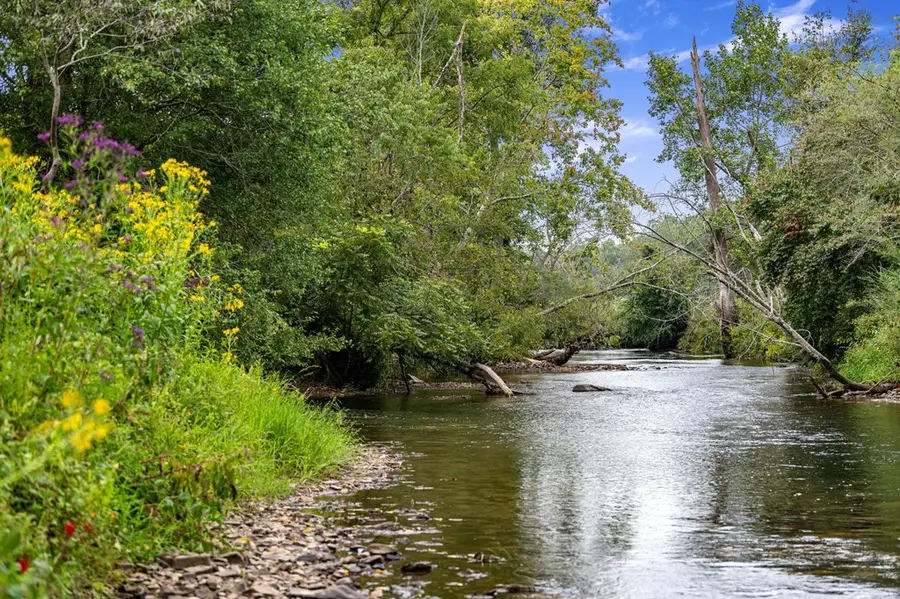 60 East Conasauga Creek, Ellijay, GA 30540 - #2