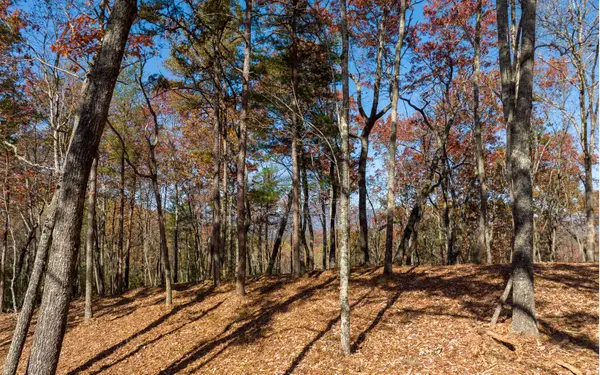 LOT 40 Preserve Trail, Ellijay, GA 30536