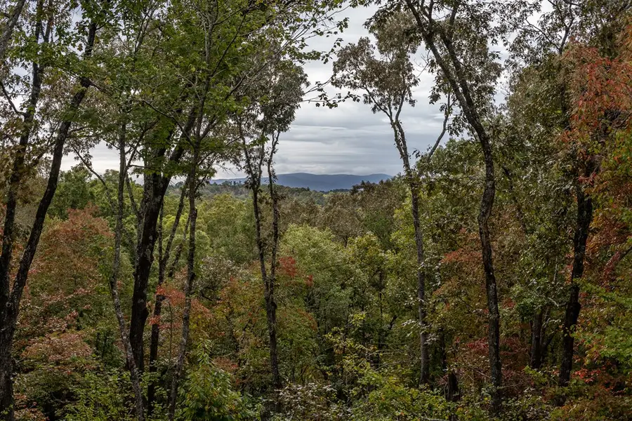 241 Wolf Creek Mountain Road, Mineral Bluff, GA 30559 - #3