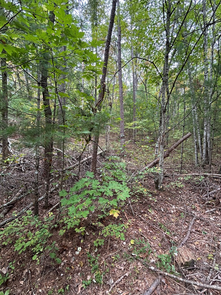 0 Goldfinch Ln, Murphy, NC 28906 - Image #2