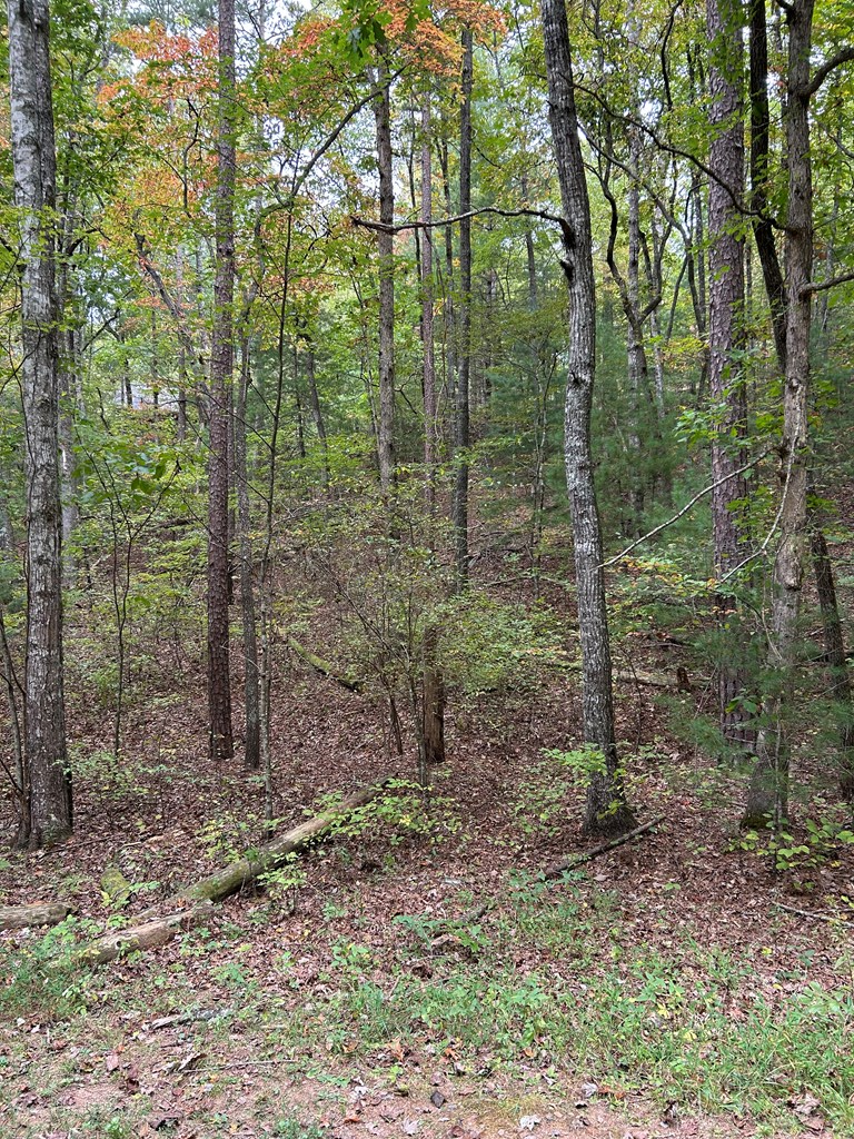 0 Goldfinch Ln, Murphy, NC 28906 - Image #3