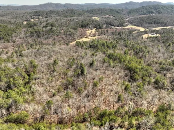 48.4ac Lofty Heights, Mineral Bluff, GA 30559
