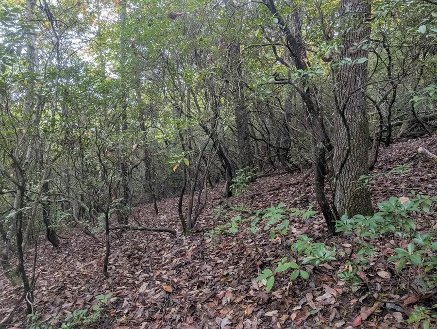 5.47 Ac Sierra Run, Blairsville, GA 30512 - Image #3