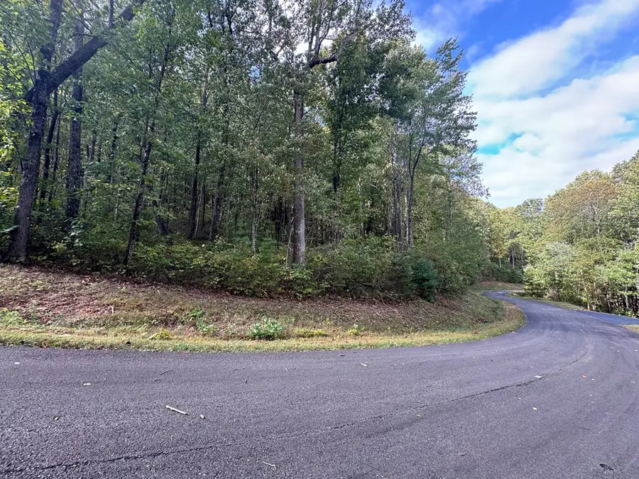 174 Trailwood, Ellijay, GA 30536 - #3