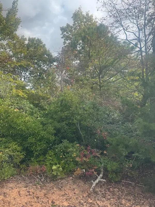 Lot 16 Brown Hawk, Clayton, GA 30525