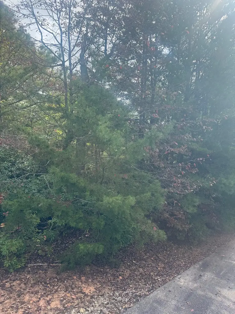 Lot 16 Brown Hawk, Clayton, GA 30525 - Image #2